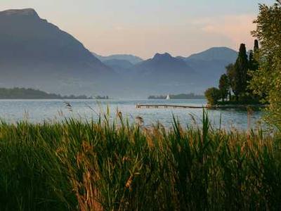 红桃免费视频官方网址-旅行Vlog